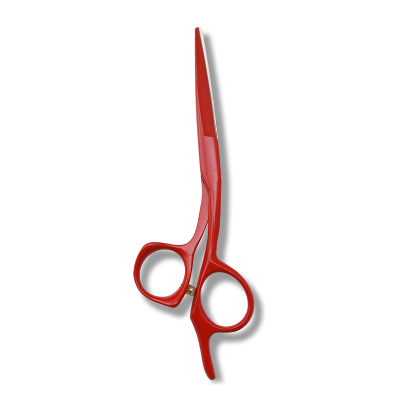 Nakatagong Screw Shears
